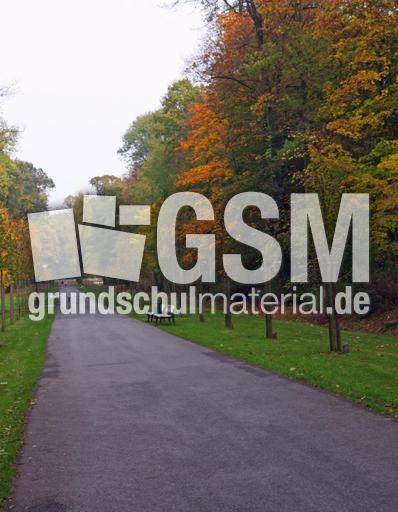 Herbststimmung-23-10-09 052.jpg